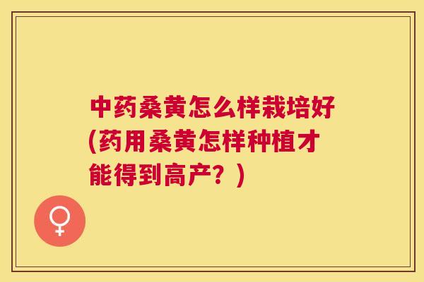 桑黄怎么样栽培好(药用桑黄怎样种植才能得到高产?) 桑黄怎么样栽培好(药用桑黄怎样种植才能得到高产?)