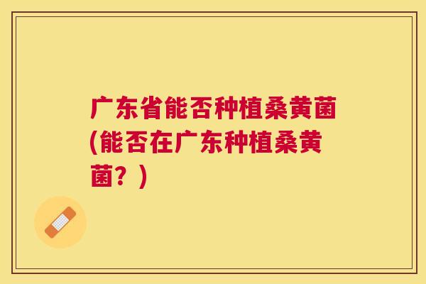 广东省能否种植桑黄菌(能否在广东种植桑黄菌?) 广东省能否种植桑黄菌(能否在广东种植桑黄菌?)