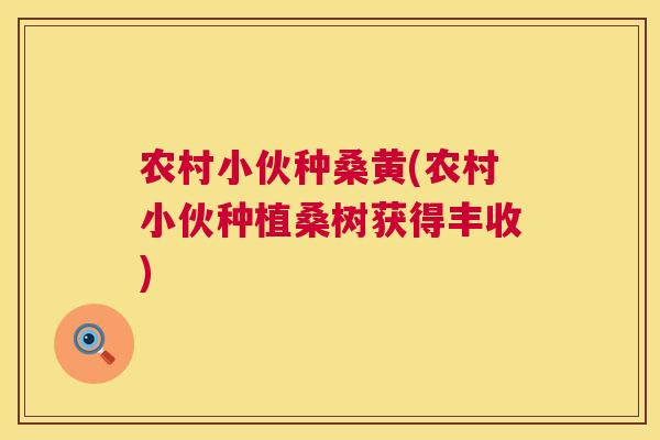 农村小伙种桑黄(农村小伙种植桑树获得丰收) 农村小伙种桑黄(农村小伙种植桑树获得丰收)