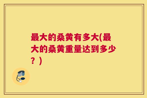 大的桑黄有多大(大的桑黄重量达到多少?) 大的桑黄有多大(大的桑黄重量达到多少?)