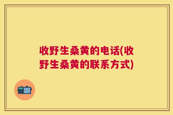 收野生桑黄的电话(收野生桑黄的联系方式) 收野生桑黄的电话(收野生桑黄的联系方式)