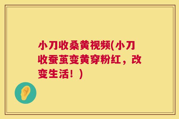 小刀收桑黄视频(小刀收蚕茧变黄穿粉红,改变生活!) 小刀收桑黄视频(小刀收蚕茧变黄穿粉红,改变生活!)