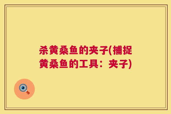 杀黄桑鱼的夹子(捕捉黄桑鱼的工具:夹子) 杀黄桑鱼的夹子(捕捉黄桑鱼的工具:夹子)