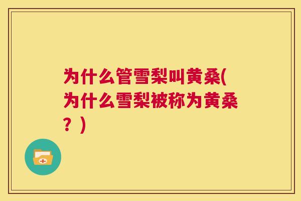 为什么管雪梨叫黄桑(为什么雪梨被称为黄桑?) 为什么管雪梨叫黄桑(为什么雪梨被称为黄桑?)