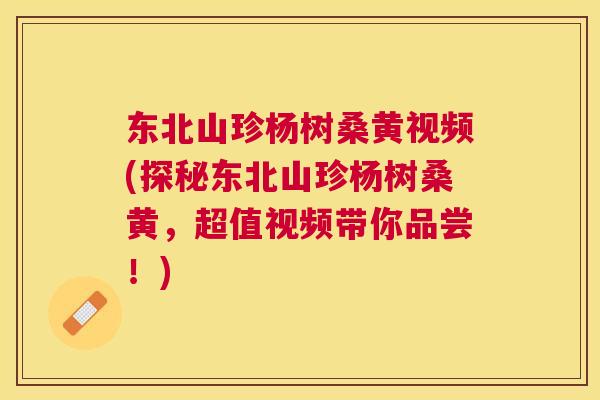 东北山珍杨树桑黄视频(探秘东北山珍杨树桑黄,超值视频带你品尝!) 东北山珍杨树桑黄视频(探秘东北山珍杨树桑黄,超值视频带你品尝!)