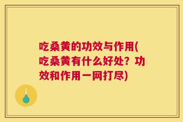 吃桑黄的功效与作用(吃桑黄有什么好处?功效和作用一网打尽) 吃桑黄的功效与作用(吃桑黄有什么好处?功效和作用一网打尽)