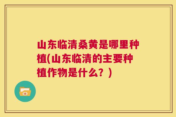 山东临清桑黄是哪里种植(山东临清的主要种植作物是什么?) 山东临清桑黄是哪里种植(山东临清的主要种植作物是什么?)