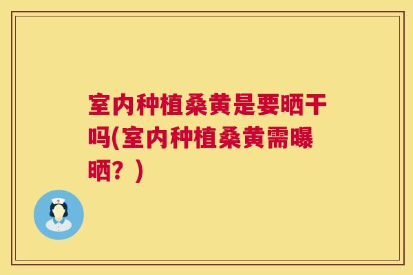 室内种植桑黄是要晒干吗(室内种植桑黄需曝晒?) 室内种植桑黄是要晒干吗(室内种植桑黄需曝晒?)