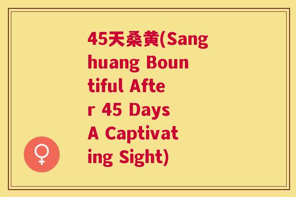45天桑黄(Sanghuang Bountiful After 45 Days A Captivating Sight) 45天桑黄(Sanghuang Bountiful After 45 Days A Captivating Sight)
