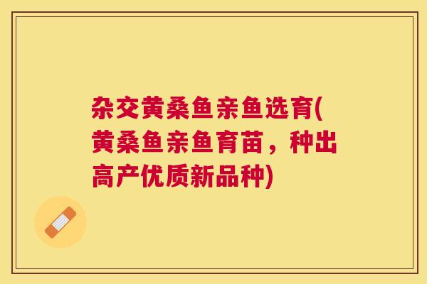 杂交黄桑鱼亲鱼选育(黄桑鱼亲鱼育苗,种出高产优质新品种) 杂交黄桑鱼亲鱼选育(黄桑鱼亲鱼育苗,种出高产优质新品种)