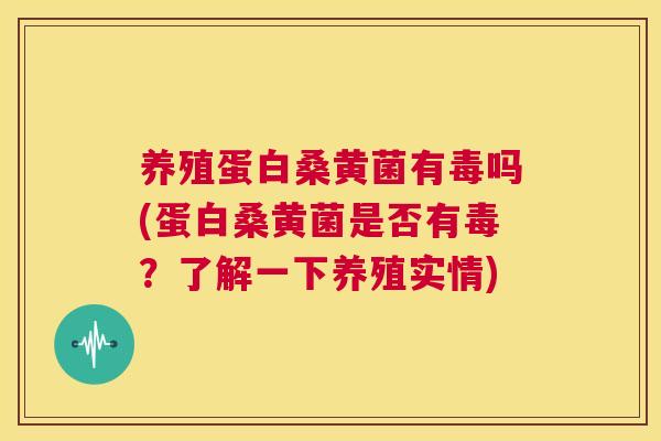 养殖蛋白桑黄菌有毒吗(蛋白桑黄菌是否有毒？了解一下养殖实情)