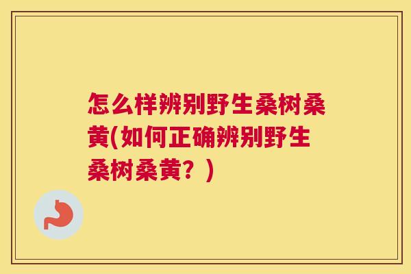 怎么样辨别野生桑树桑黄(如何正确辨别野生桑树桑黄?) 怎么样辨别野生桑树桑黄(如何正确辨别野生桑树桑黄?)