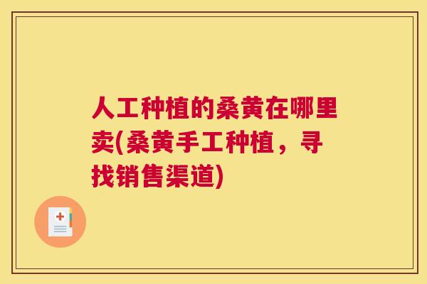 人工种植的桑黄在哪里卖(桑黄手工种植，寻找销售渠道)