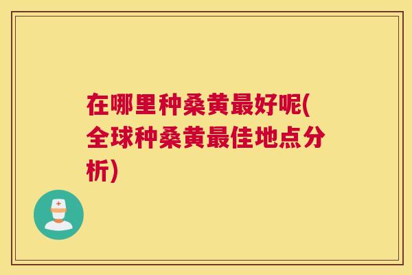 在哪里种桑黄好呢(全球种桑黄佳地点分析) 在哪里种桑黄好呢(全球种桑黄佳地点分析)