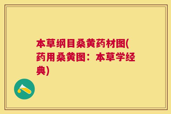 本草纲目桑黄药材图(药用桑黄图：本草学经典)