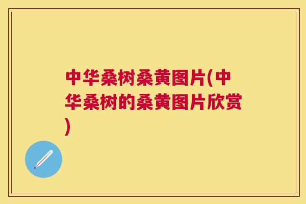中华桑树桑黄图片(中华桑树的桑黄图片欣赏) 中华桑树桑黄图片(中华桑树的桑黄图片欣赏)
