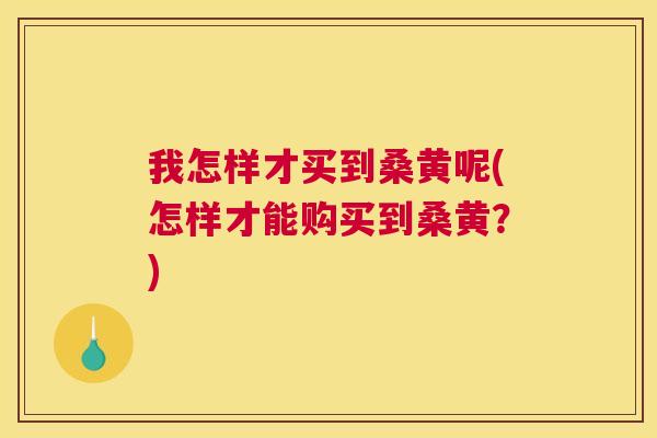 我怎样才买到桑黄呢(怎样才能购买到桑黄?) 我怎样才买到桑黄呢(怎样才能购买到桑黄?)