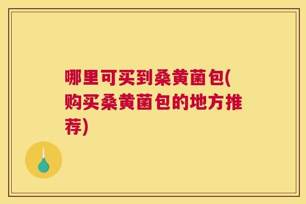 哪里可买到桑黄菌包(购买桑黄菌包的地方推荐) 哪里可买到桑黄菌包(购买桑黄菌包的地方推荐)