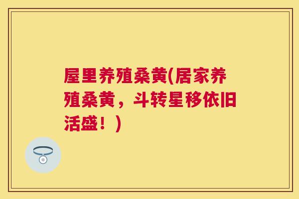 屋里养殖桑黄(居家养殖桑黄,斗转星移依旧活盛!) 屋里养殖桑黄(居家养殖桑黄,斗转星移依旧活盛!)
