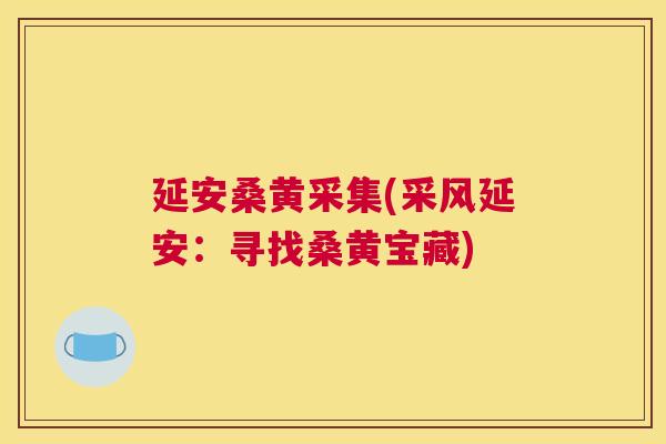 延安桑黄采集(采风延安：寻找桑黄宝藏)