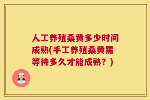 人工养殖桑黄多少时间成熟(手工养殖桑黄需等待多久才能成熟?) 人工养殖桑黄多少时间成熟(手工养殖桑黄需等待多久才能成熟?)