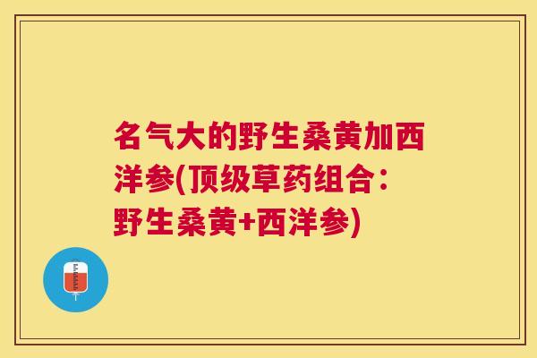 名气大的野生桑黄加西洋参(草药组合:野生桑黄+西洋参) 名气大的野生桑黄加西洋参(草药组合:野生桑黄+西洋参)