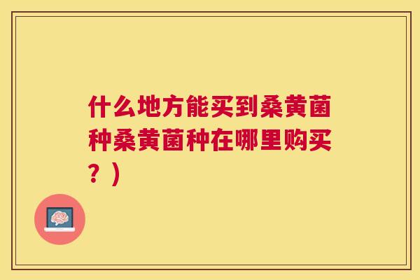 什么地方能买到桑黄菌种桑黄菌种在哪里购买?) 什么地方能买到桑黄菌种桑黄菌种在哪里购买?)
