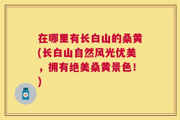 在哪里有长白山的桑黄(长白山自然风光优美，拥有绝美桑黄景色！)