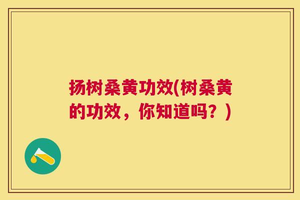 扬树桑黄功效(树桑黄的功效,你知道吗?) 扬树桑黄功效(树桑黄的功效,你知道吗?)