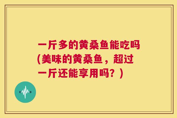 一斤多的黄桑鱼能吃吗(美味的黄桑鱼,超过一斤还能享用吗?) 一斤多的黄桑鱼能吃吗(美味的黄桑鱼,超过一斤还能享用吗?)