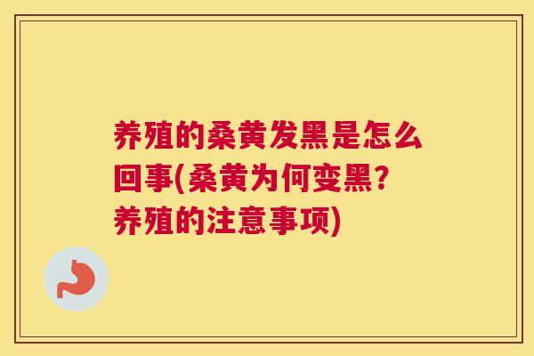 养殖的桑黄发黑是怎么回事(桑黄为何变黑?养殖的注意事项) 养殖的桑黄发黑是怎么回事(桑黄为何变黑?养殖的注意事项)