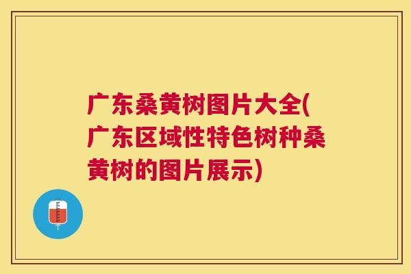 广东桑黄树图片大全(广东区域性特色树种桑黄树的图片展示) 广东桑黄树图片大全(广东区域性特色树种桑黄树的图片展示)