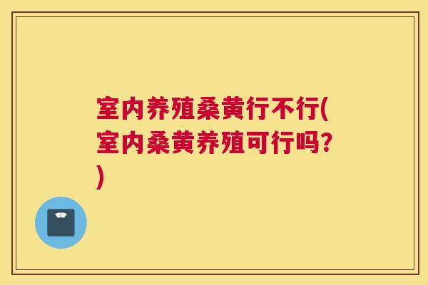 室内养殖桑黄行不行(室内桑黄养殖可行吗？)