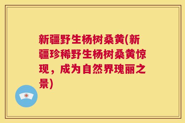 新疆野生杨树桑黄(新疆珍稀野生杨树桑黄惊现,成为自然界瑰丽之景) 新疆野生杨树桑黄(新疆珍稀野生杨树桑黄惊现,成为自然界瑰丽之景)