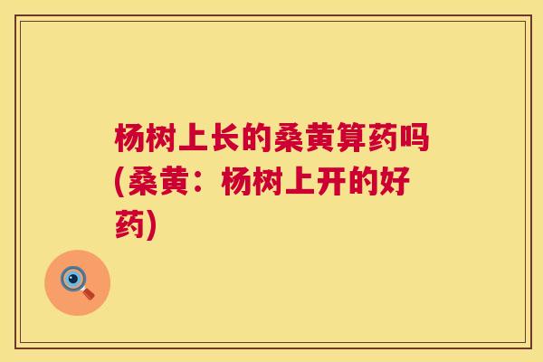 杨树上长的桑黄算药吗(桑黄：杨树上开的好药)
