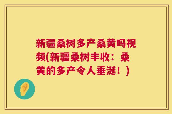 新疆桑树多产桑黄吗视频(新疆桑树丰收：桑黄的多产令人垂涎！)