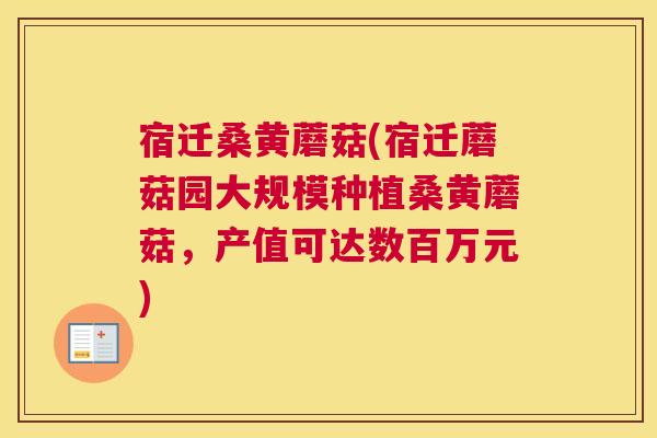 宿迁桑黄蘑菇(宿迁蘑菇园大规模种植桑黄蘑菇,产值可达数百万元) 宿迁桑黄蘑菇(宿迁蘑菇园大规模种植桑黄蘑菇,产值可达数百万元)