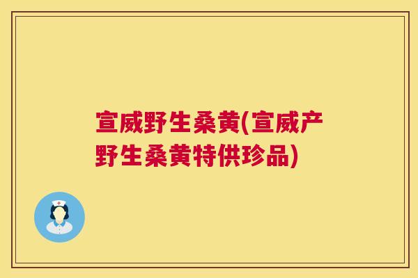 宣威野生桑黄(宣威产野生桑黄特供珍品) 宣威野生桑黄(宣威产野生桑黄特供珍品)