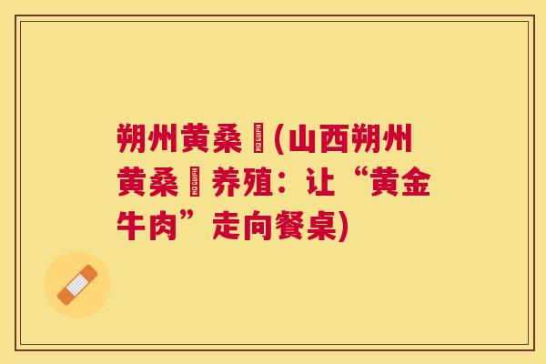 朔州黄桑犇(山西朔州黄桑犇养殖:让“黄金牛肉”走向餐桌) 朔州黄桑犇(山西朔州黄桑犇养殖:让“黄金牛肉”走向餐桌)