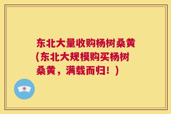 东北大量收购杨树桑黄(东北大规模购买杨树桑黄,满载而归!) 东北大量收购杨树桑黄(东北大规模购买杨树桑黄,满载而归!)