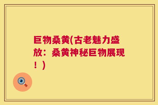 巨物桑黄(古老魅力盛放:桑黄神秘巨物展现!) 巨物桑黄(古老魅力盛放:桑黄神秘巨物展现!)