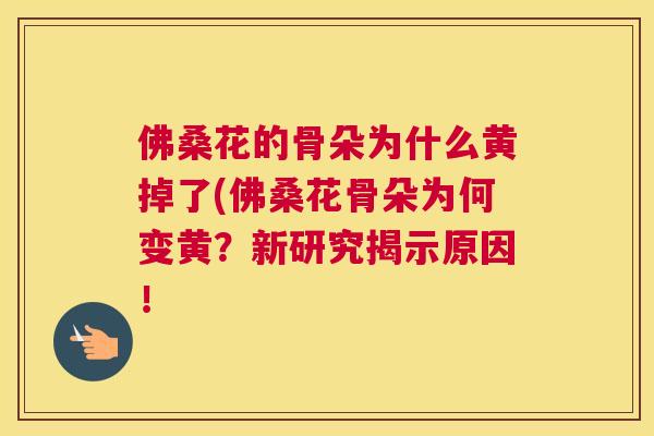 佛桑花的骨朵为什么黄掉了(佛桑花骨朵为何变黄?新研究揭示原因! 佛桑花的骨朵为什么黄掉了(佛桑花骨朵为何变黄?新研究揭示原因!