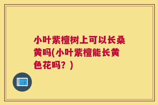 小叶紫檀树上可以长桑黄吗(小叶紫檀能长黄色花吗?) 小叶紫檀树上可以长桑黄吗(小叶紫檀能长黄色花吗?)