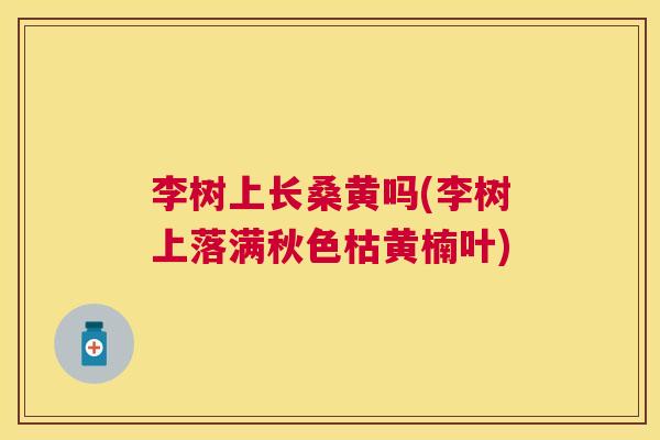 李树上长桑黄吗(李树上落满秋色枯黄楠叶) 李树上长桑黄吗(李树上落满秋色枯黄楠叶)