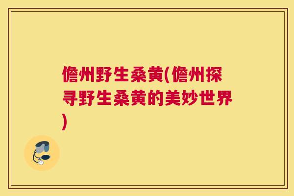 儋州野生桑黄(儋州探寻野生桑黄的美妙世界) 儋州野生桑黄(儋州探寻野生桑黄的美妙世界)