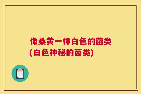 像桑黄一样白色的菌类(白色神秘的菌类) 像桑黄一样白色的菌类(白色神秘的菌类)