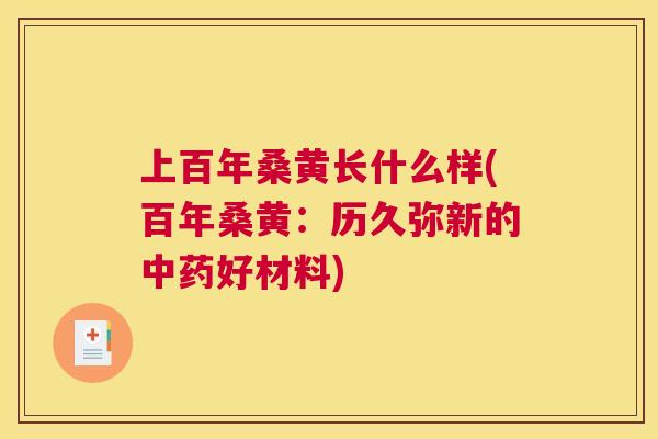 上百年桑黄长什么样(百年桑黄:历久弥新的好材料) 上百年桑黄长什么样(百年桑黄:历久弥新的好材料)