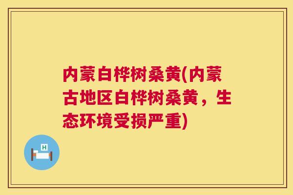 内蒙白桦树桑黄(内蒙古地区白桦树桑黄,生态环境受损严重) 内蒙白桦树桑黄(内蒙古地区白桦树桑黄,生态环境受损严重)