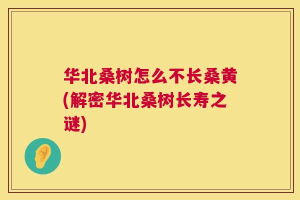 华北桑树怎么不长桑黄(解密华北桑树长寿之谜) 华北桑树怎么不长桑黄(解密华北桑树长寿之谜)