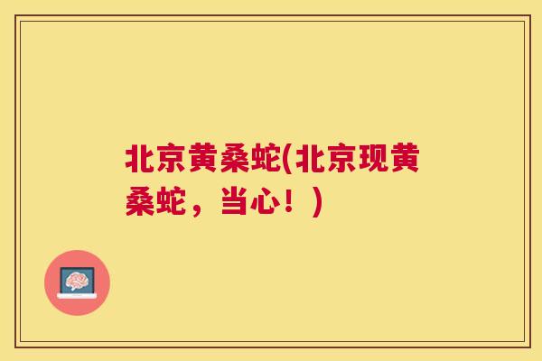 北京黄桑蛇(北京现黄桑蛇,当心!) 北京黄桑蛇(北京现黄桑蛇,当心!)